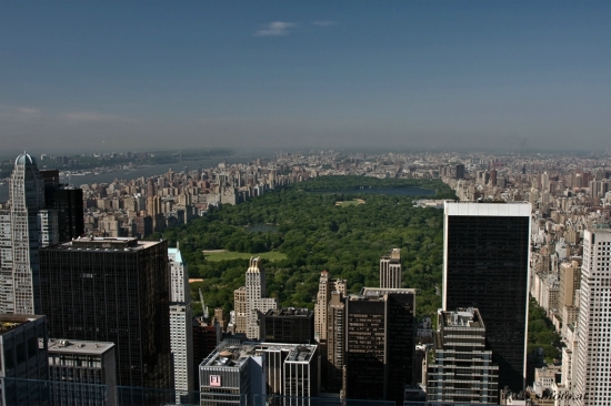 Aussicht vom Empire State Building und Top of the Rock